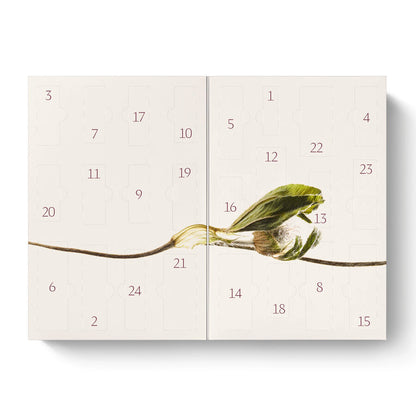 Calendario de Adviento Bliss de Dr. Hauschka.